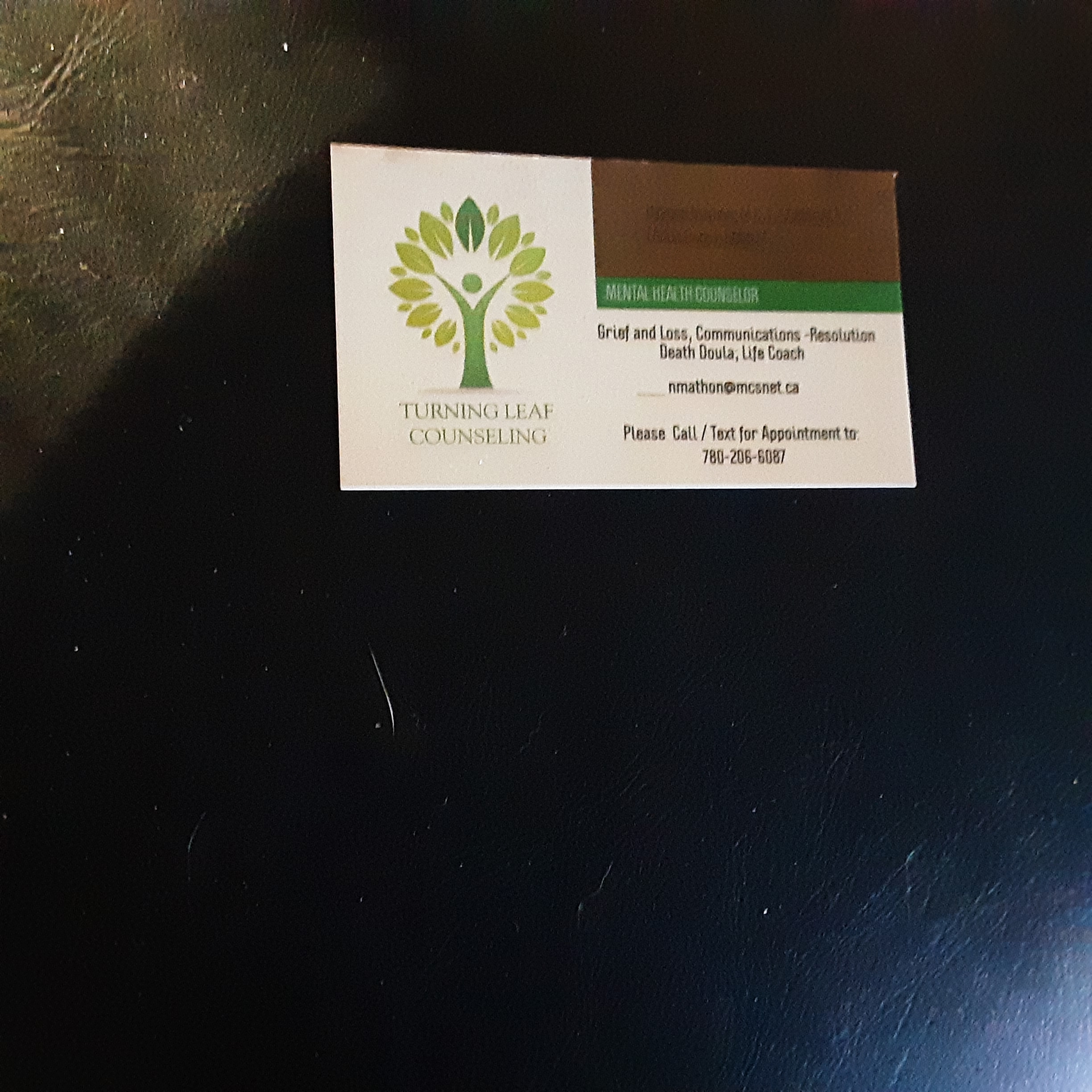 Turning Leaf Counseling